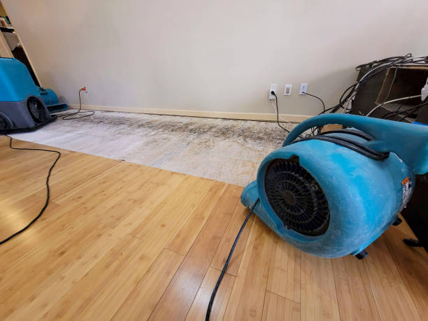 Professional Ceiling Water Damage Repair technician working in Papaaloa, HI